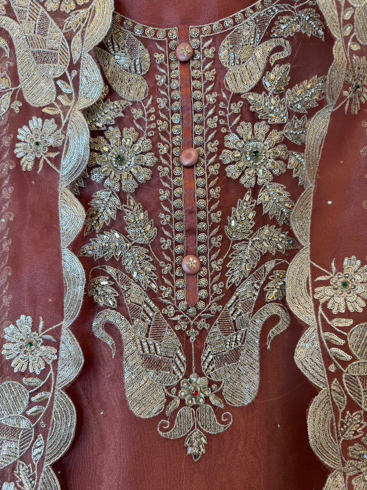 Zarevia – Rust Glass Tissue Zari Cutwork Suit