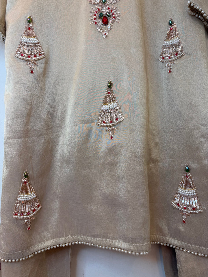 Jhumara – Beige Stitched Tissue Festive Set