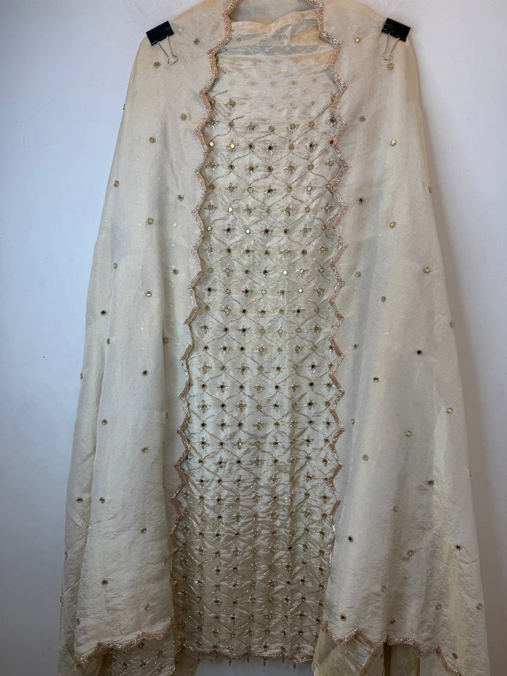 Zivasha – Tissue Shimmer Mirror Handwork Suit
