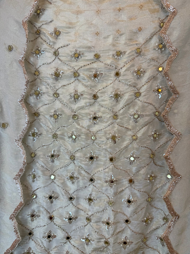 Zivasha – Tissue Shimmer Mirror Handwork Suit