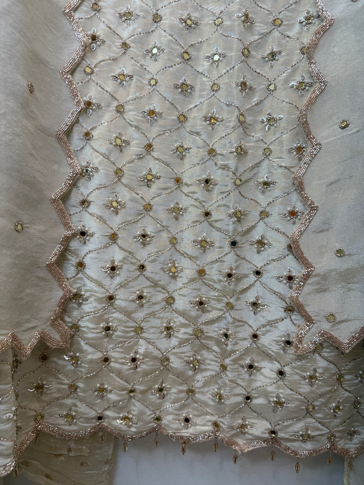 Zivasha – Tissue Shimmer Mirror Handwork Suit