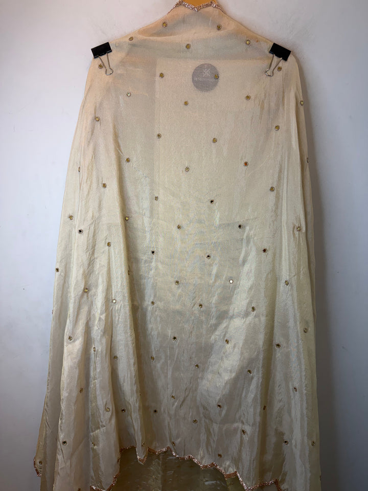 Zivasha – Tissue Shimmer Mirror Handwork Suit