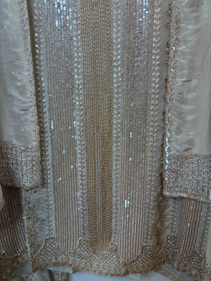 Zariellea – Tissue Shimmer Nalki Handwork Suit