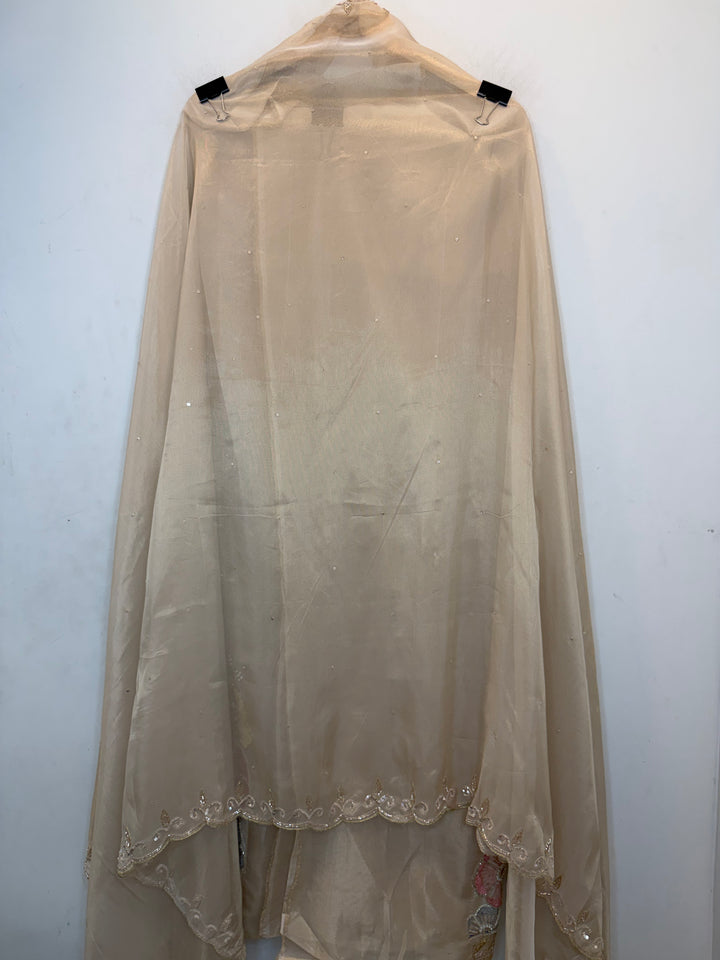 Zehvara – Tissue Pearl Dabka Suit