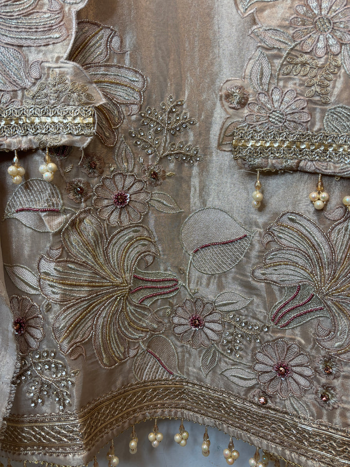 Zareen – Tissue Zari Embroidered Handwork Suit DBPU02