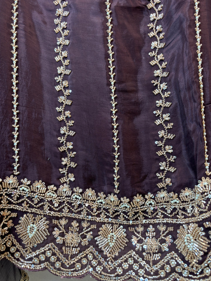 Aaira – Silk Organza Handwork Suit DBPA901