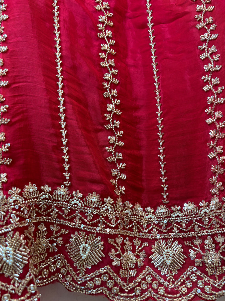 Aaira – Silk Organza Handwork Suit DBPA905