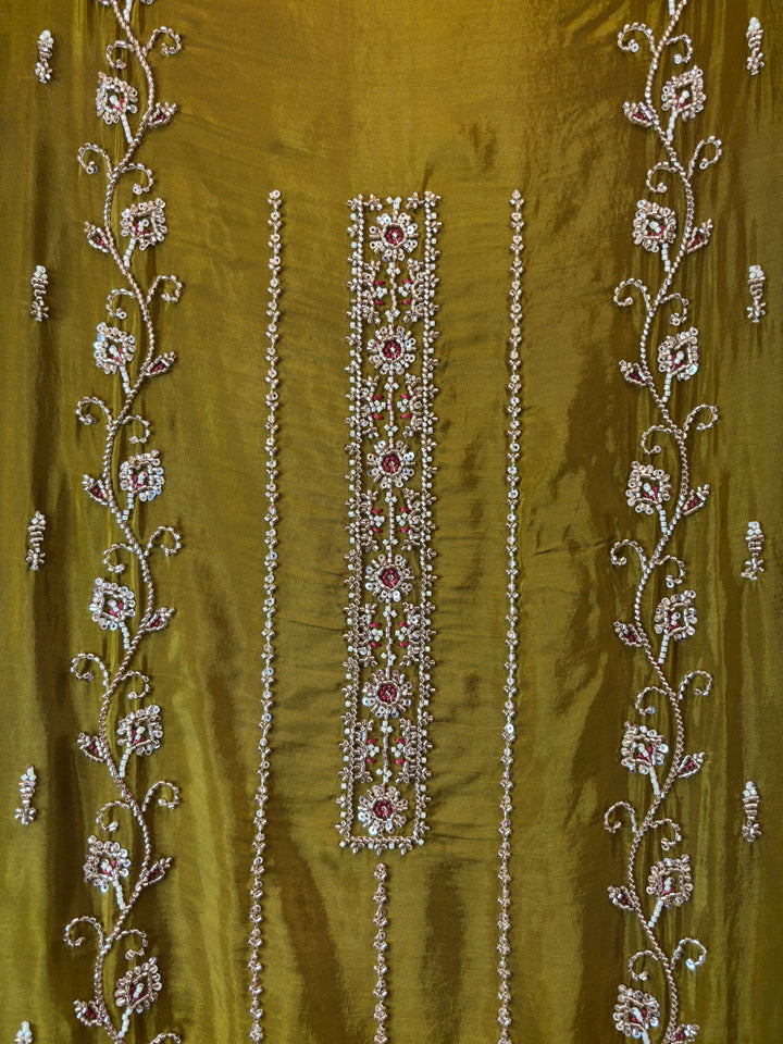 Aaira – Silk Organza Handwork Suit DBPF801