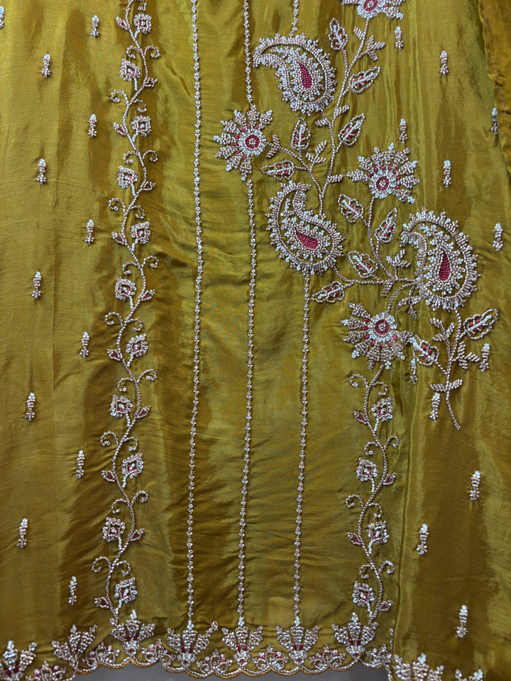 Aaira – Silk Organza Handwork Suit DBPF801