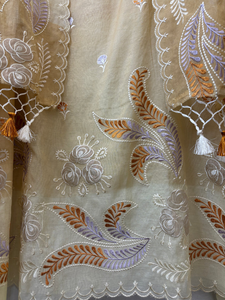 Meher – Mul Chanderi Ombre Appliqué Suit DBPDD01