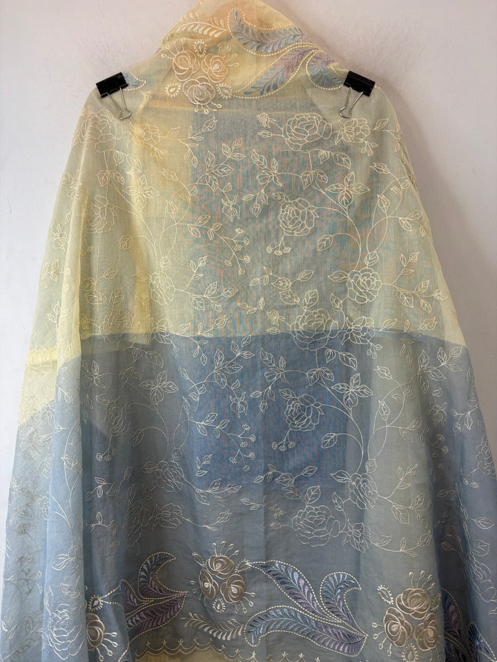Meher – Mul Chanderi Ombre Appliqué Suit DBPDD03