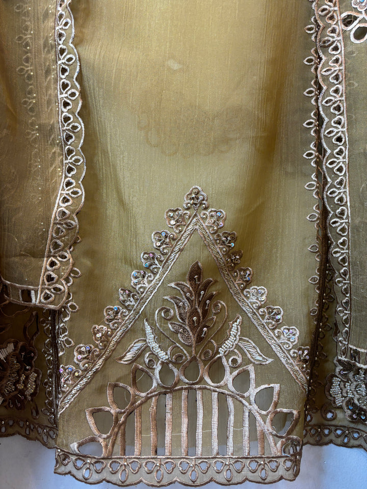 Inaya – Organza Tissue Laser Cut Sequin Suit DBPKL904