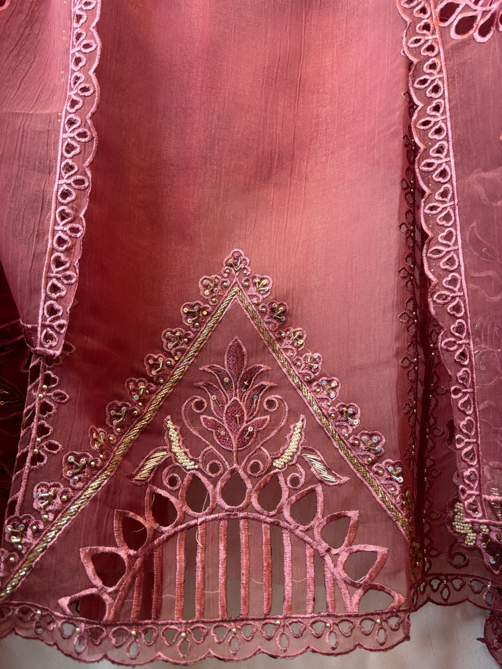 Inaya – Organza Tissue Laser Cut Sequin Suit DBPKL901