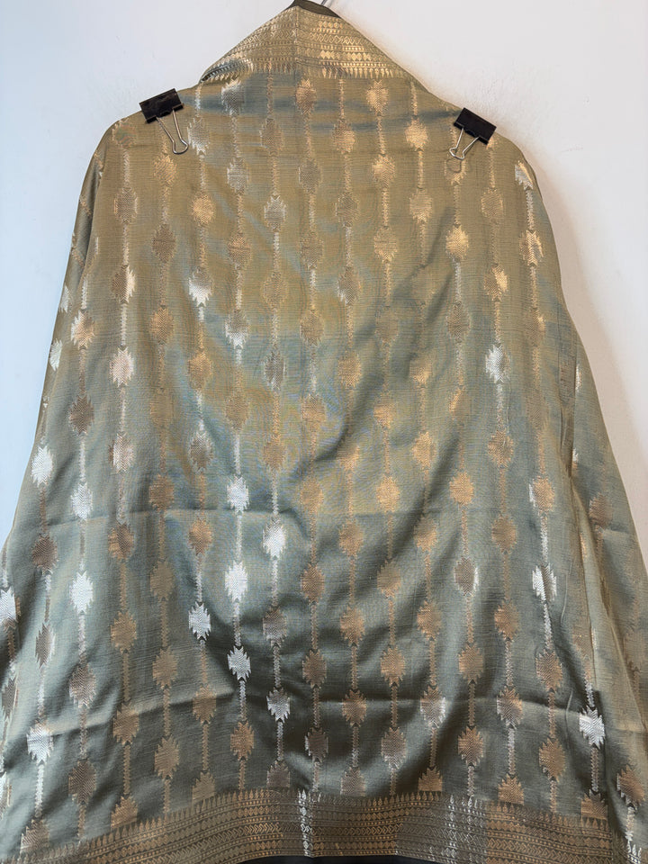 Mahira – Banarasi Silk Zari Jaal Ensemble DBPDL04