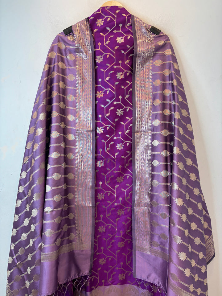 Mahira – Banarasi Silk Zari Jaal Ensemble DBPDL03