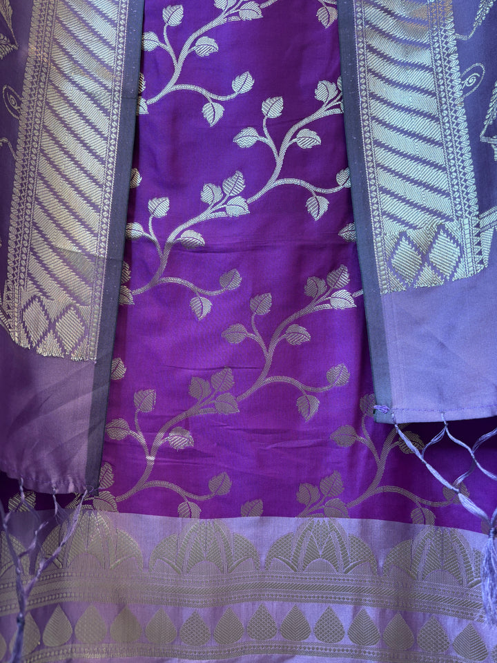 Anaya – Banarasi Silk Zari Jaal Ensemble DBPHK02
