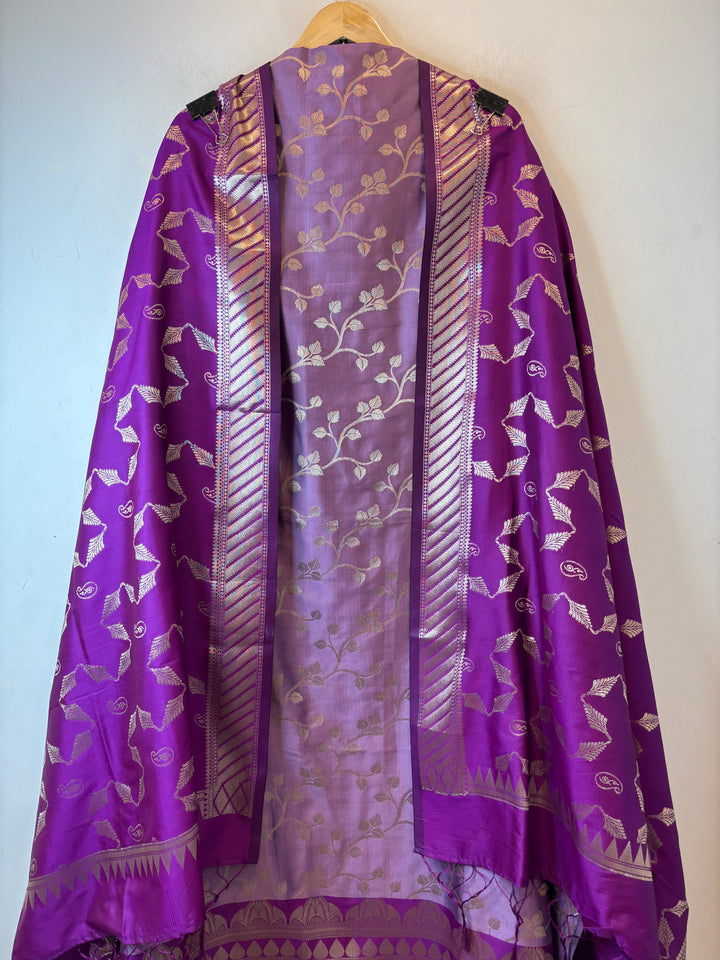 Anaya – Banarasi Silk Zari Jaal Ensemble DBPHK01