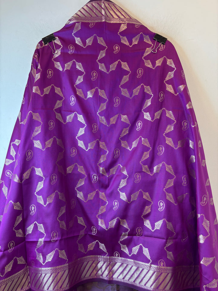 Anaya – Banarasi Silk Zari Jaal Ensemble DBPHK01