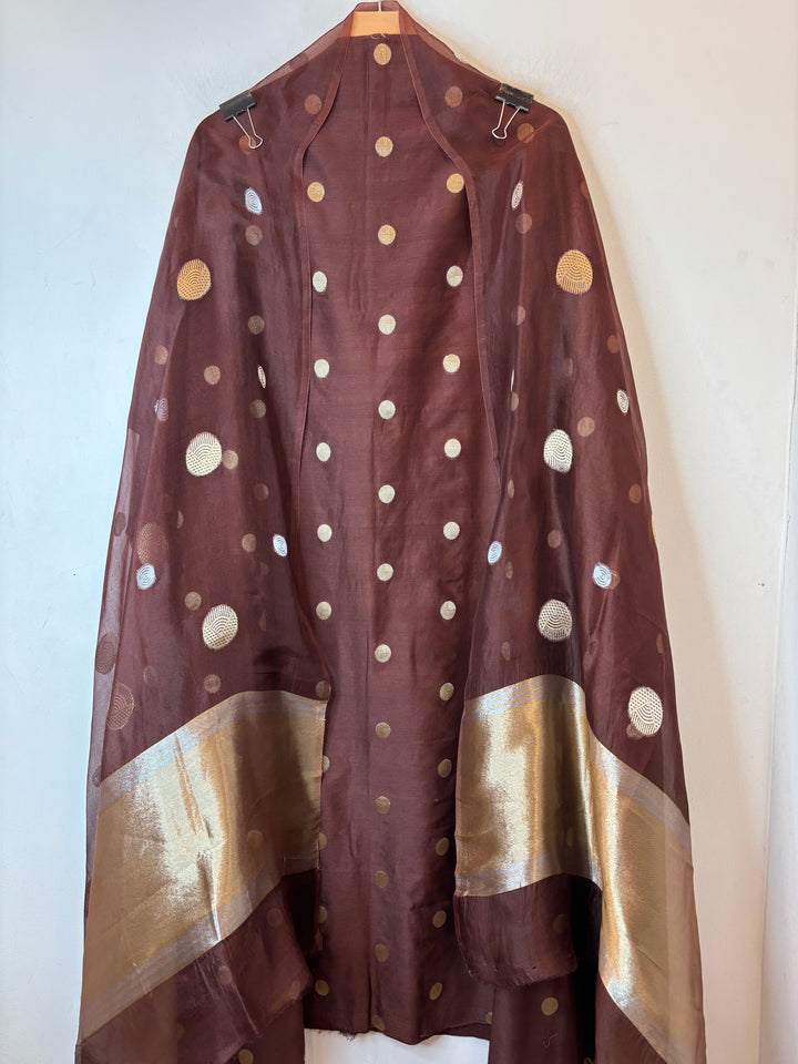 Ruhani – Brown Pure Silk Maheshwari Zari Woven Ensemble DBPRO05