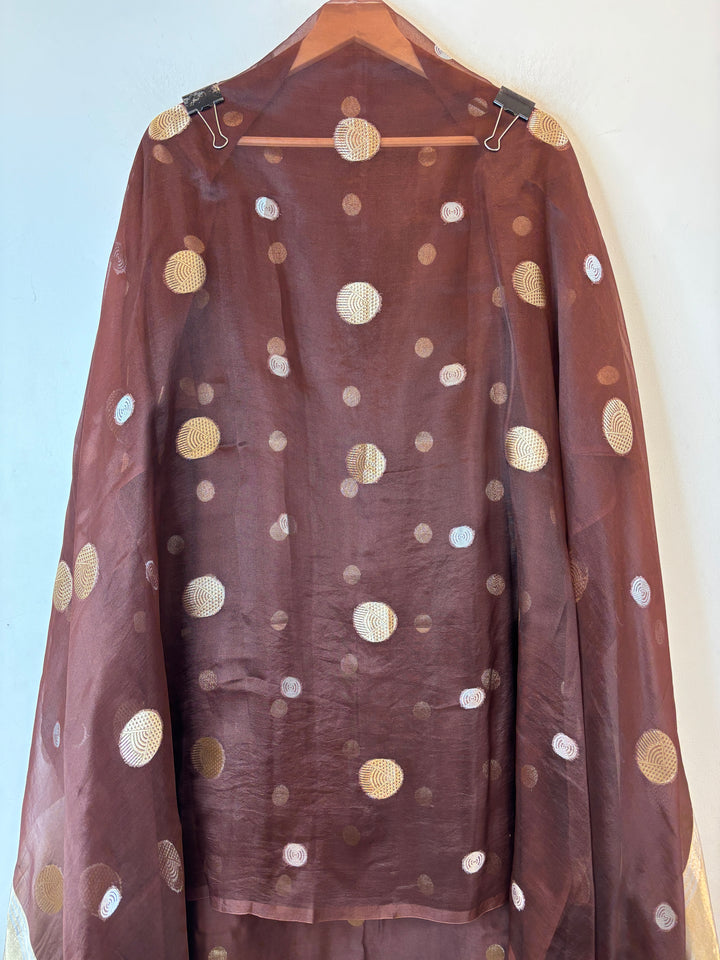 Ruhani – Brown Pure Silk Maheshwari Zari Woven Ensemble DBPRO05