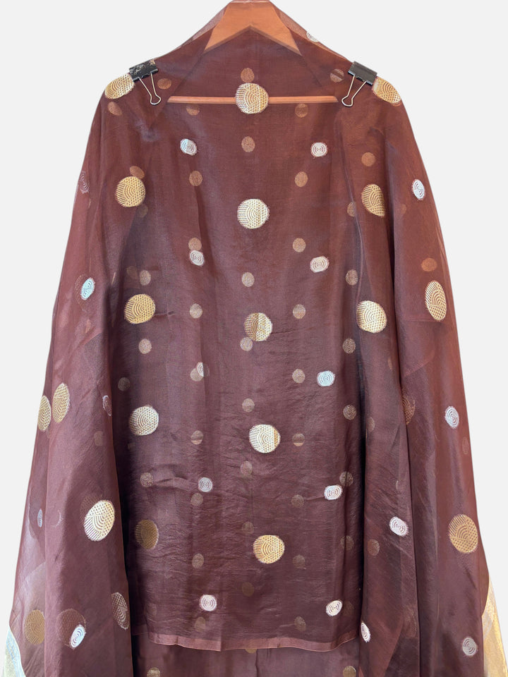 Design by Pakiza brown pure organza dupatta with gold and silver polka zari weaving and elegant tissue pallu detailing