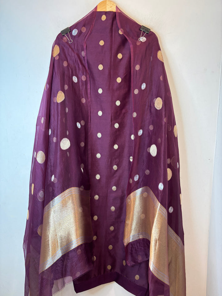 Ruhani – Wine Pure Silk Maheshwari Zari Woven Ensemble DBPRO06