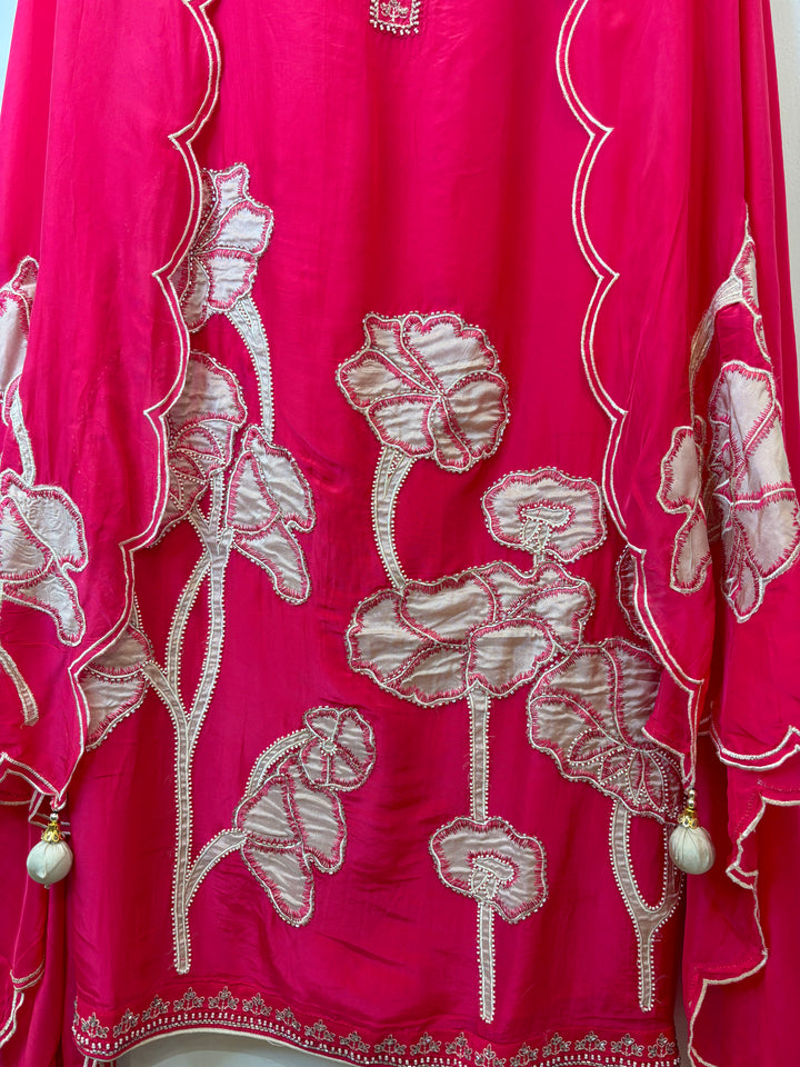 Nyra – Applique Organza Crepe Suit