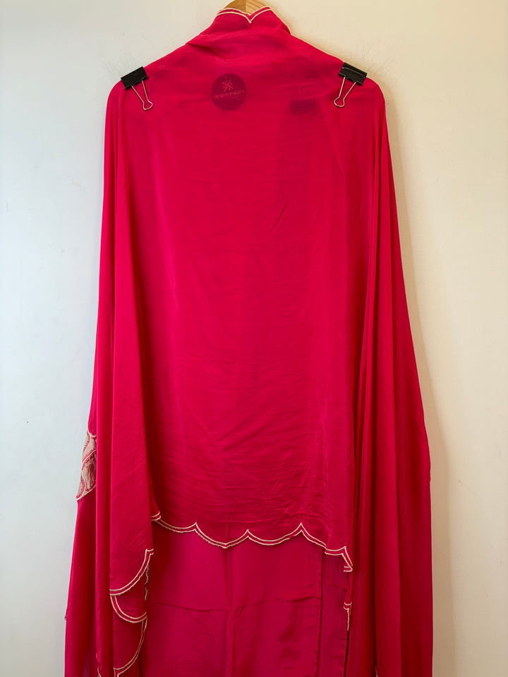 Nyra – Applique Organza Crepe Suit