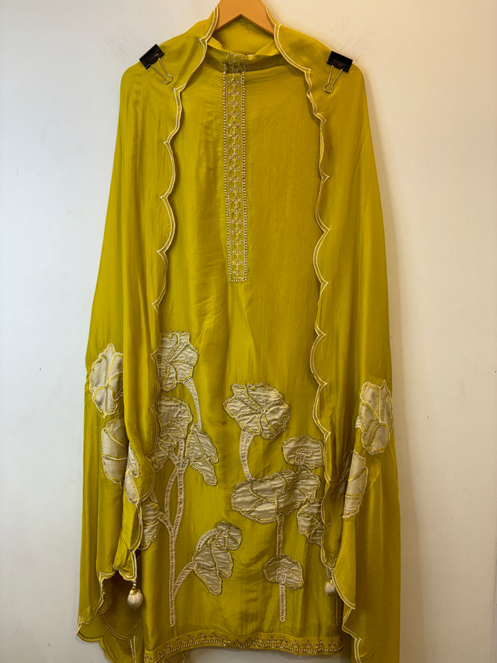 Nyra – Applique Organza Crepe Suit