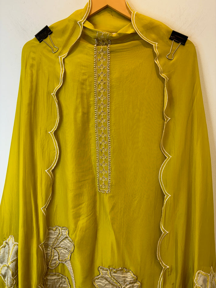 Nyra – Applique Organza Crepe Suit