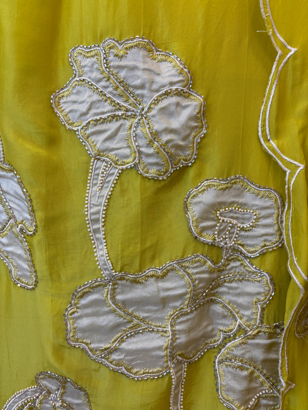 Nyra – Applique Organza Crepe Suit