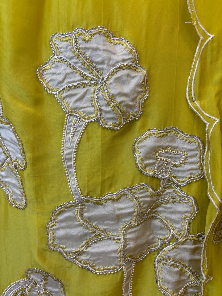 Nyra – Applique Organza Crepe Suit