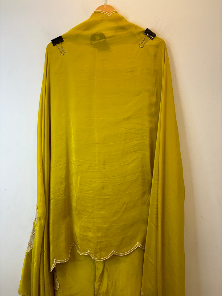 Nyra – Applique Organza Crepe Suit