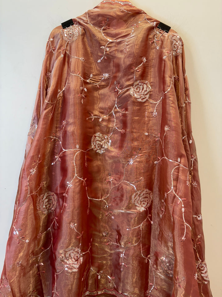 Raahi – Sequin Glass Tissue Suit