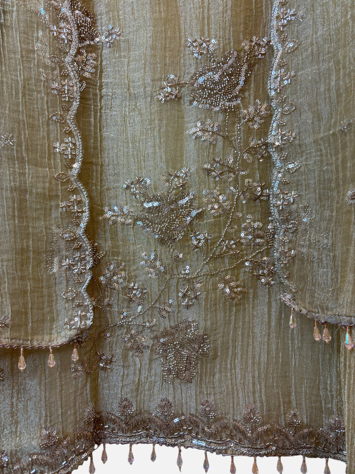 Design by Pakiza Ameera crush tissue ensemble with intricate zari, sequin, and bead embroidery and tassel detailing.