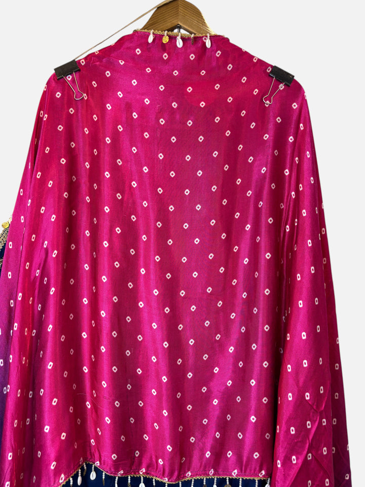 Aarohi – Satin Organza Dori &amp; Mirror Embroidered Ensemble DBPHIM02