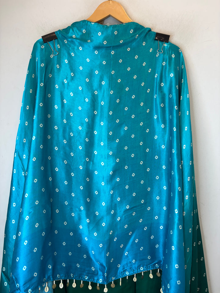 Aarohi – Satin Organza Dori &amp; Mirror Embroidered Ensemble DBPHIM03