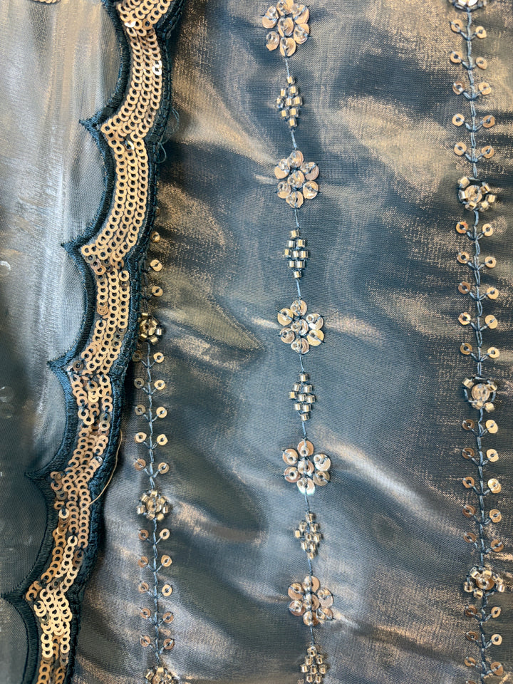 Amairah – Glass Organza Suit with All-Over Handwork