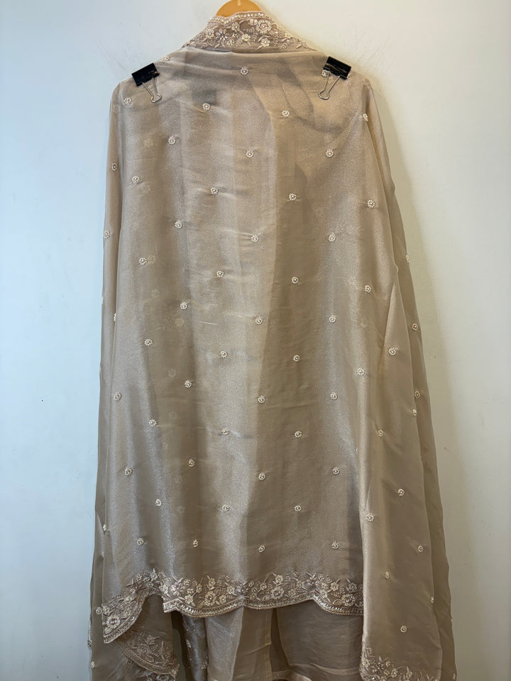 Eira – Glass Organza Thread &amp; Handwork Suit