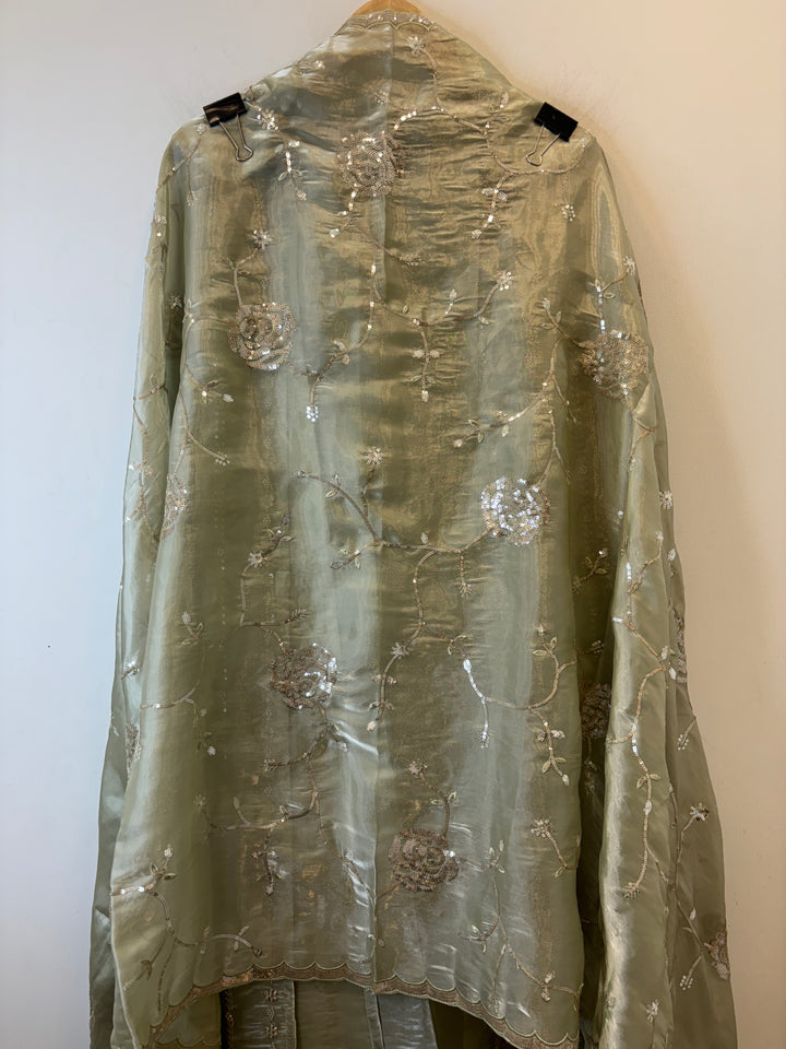 Amairah – Glass Organza Suit with All-Over Handwork