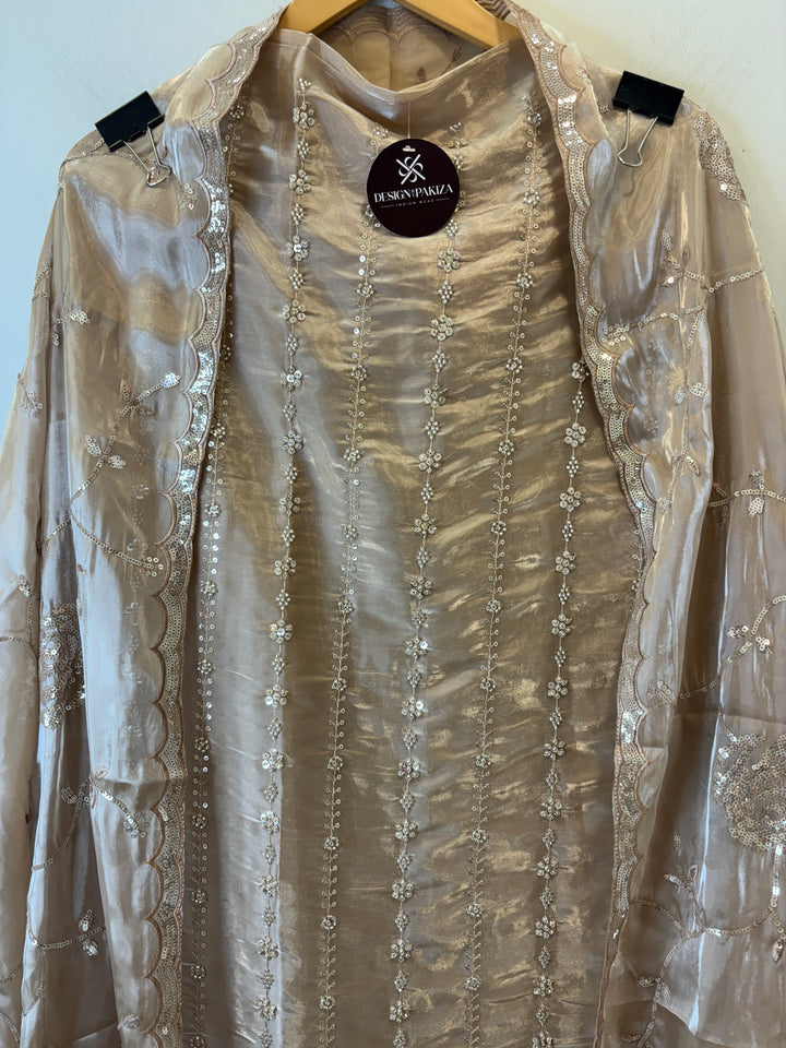 Amairah – Glass Organza Suit with All-Over Handwork