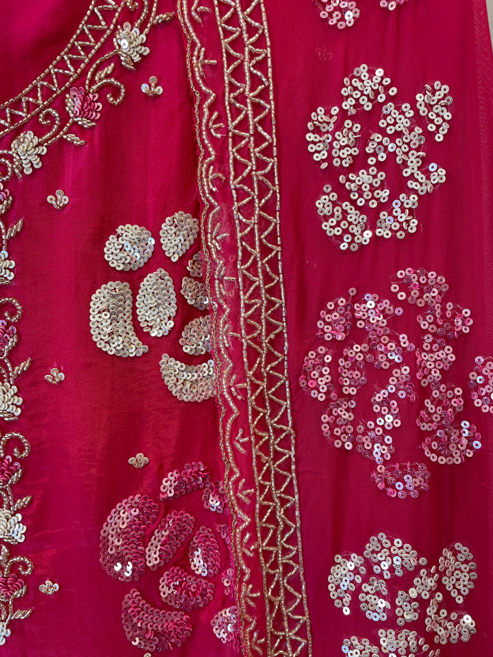 Liora – Silk Organza Handworked Suit