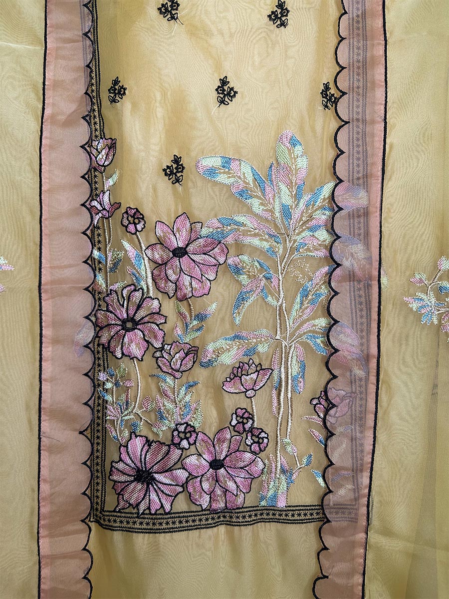 Zohra – Organza Embroidered Suit