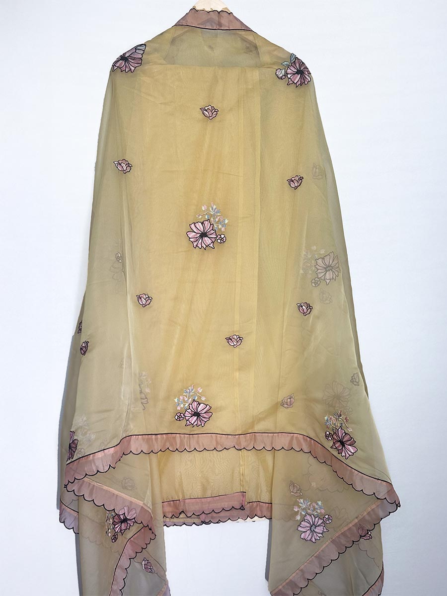 Zohra – Organza Embroidered Suit