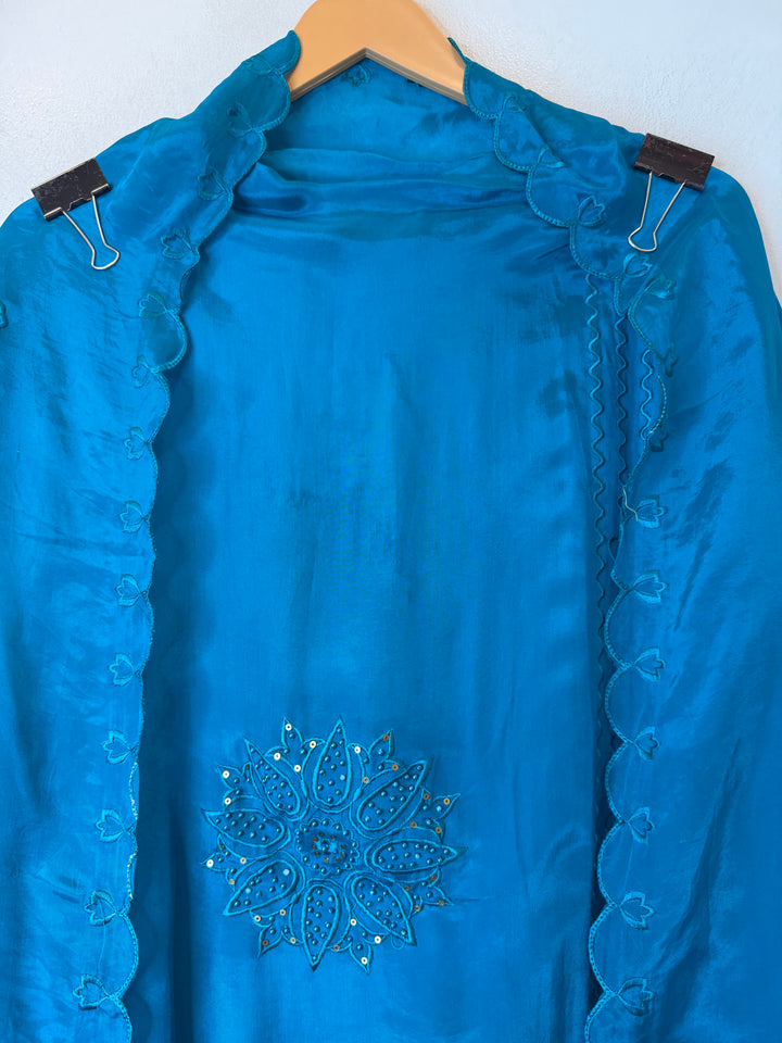 Elina – Blue Silk Organza Pearl Embroidered Ensemble