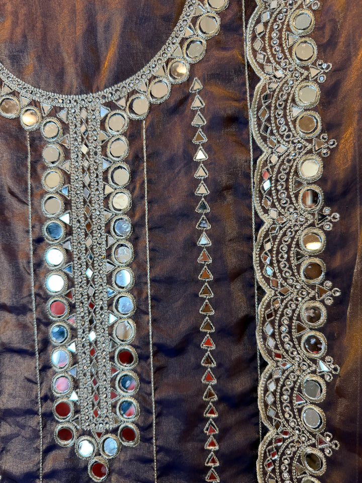 Zaretta – Glass Organza Mirror Aari Suit