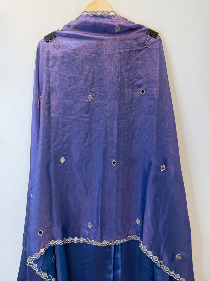 Ishara – Glass Organza Mirror Work Suit