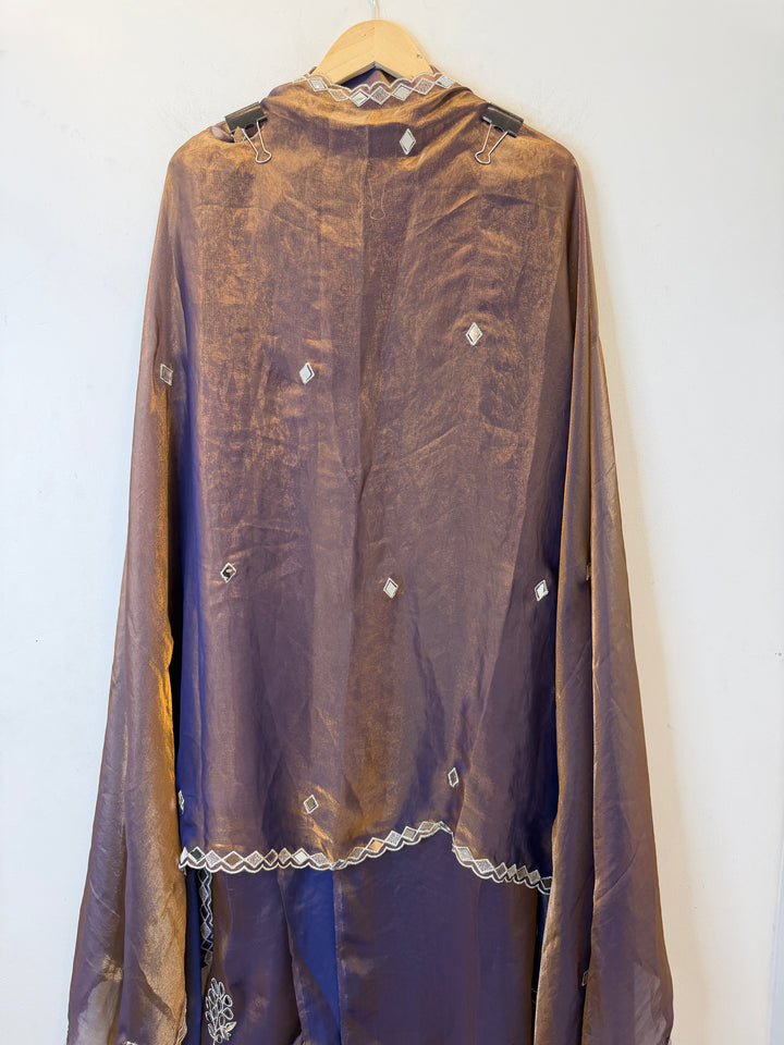 Ishara – Glass Organza Mirror Work Suit