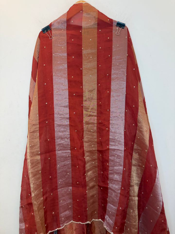Zahira – Tissue Handworked Suit
