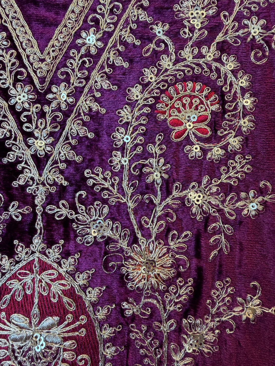 Viara – Silk Velvet Zari Suit
